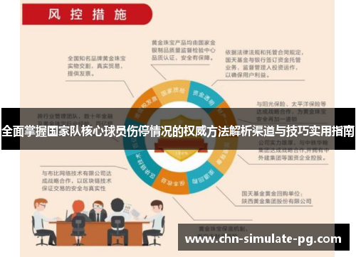 全面掌握国家队核心球员伤停情况的权威方法解析渠道与技巧实用指南