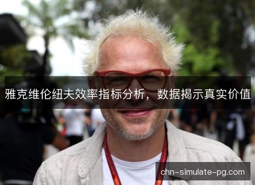 雅克维伦纽夫效率指标分析，数据揭示真实价值